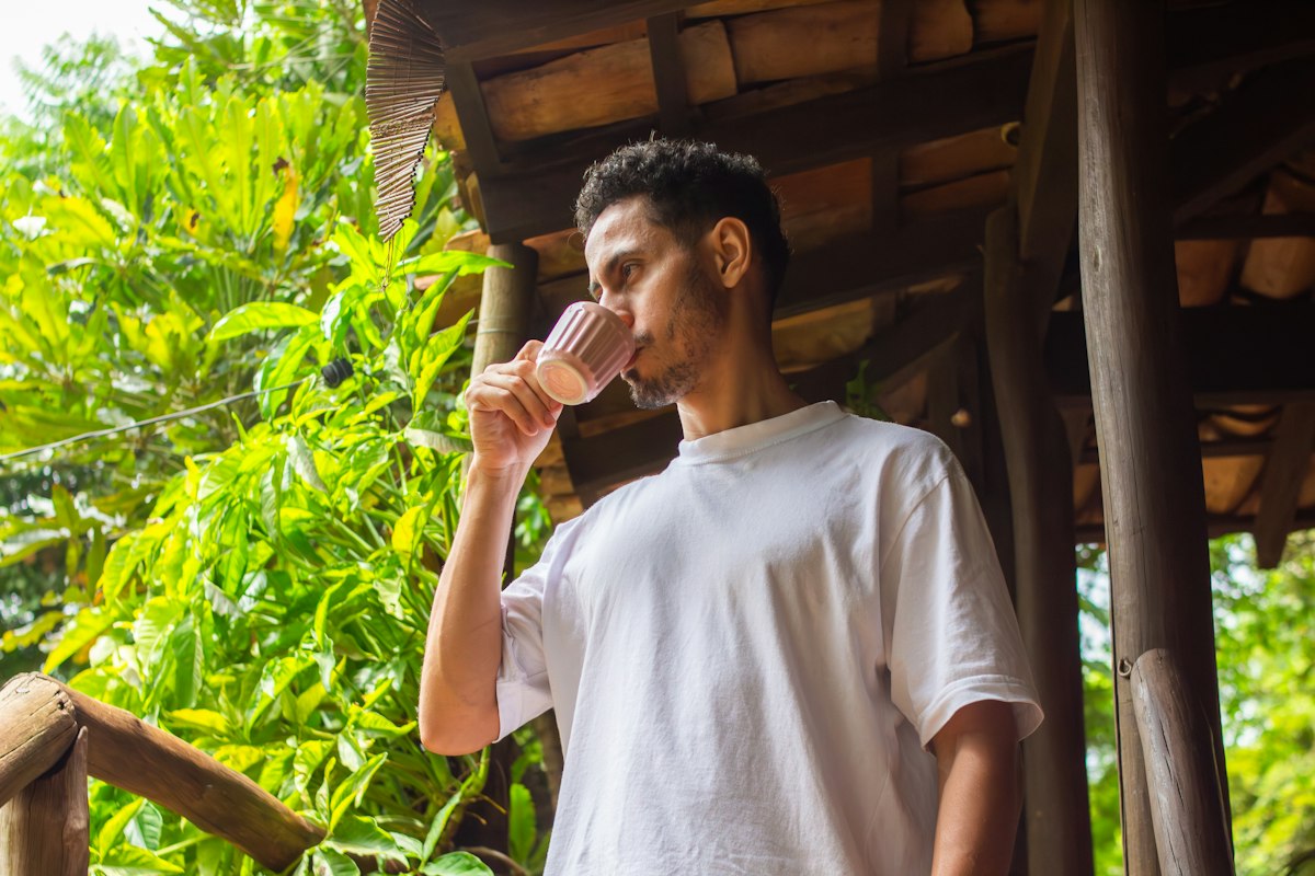 Sayuran hijau bergizi